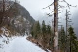 201402111037-AJ001253.jpg